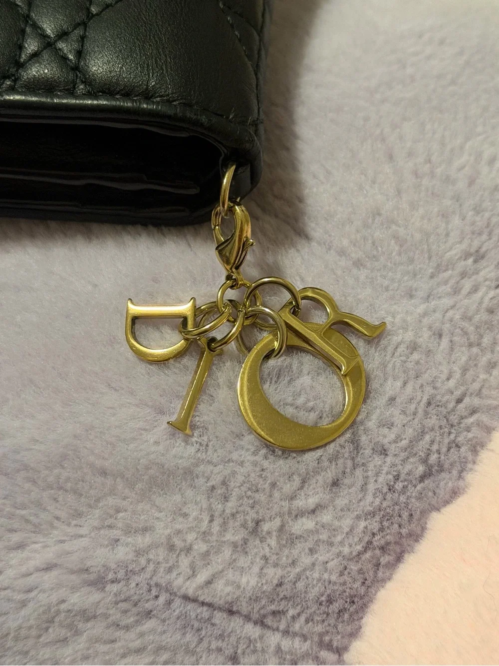 2024 Mini Lady Dior Gardenia Compact Wallet